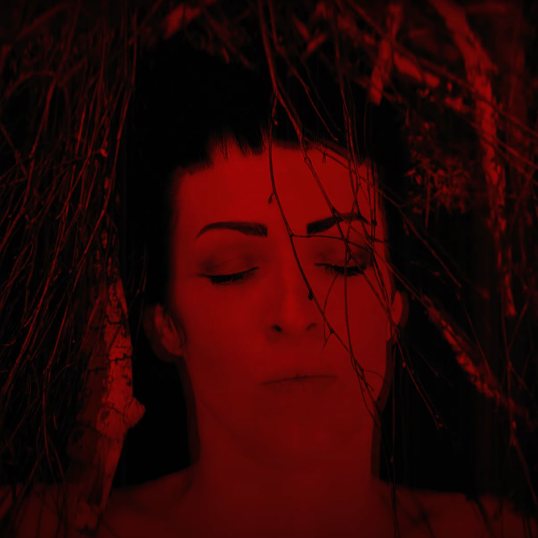 BURY YOUR DEAD - VIDEO